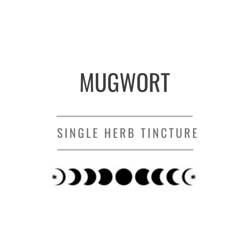 Mugwort Tincture