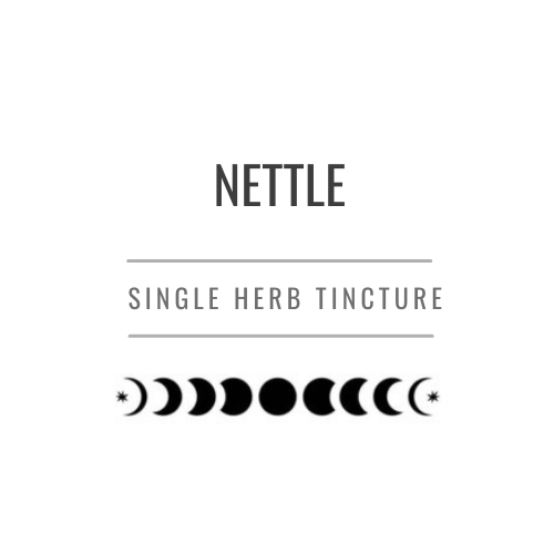 Nettle Tincture